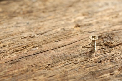 Photo of Screw in wooden plank and sawdust, closeup. Space for text