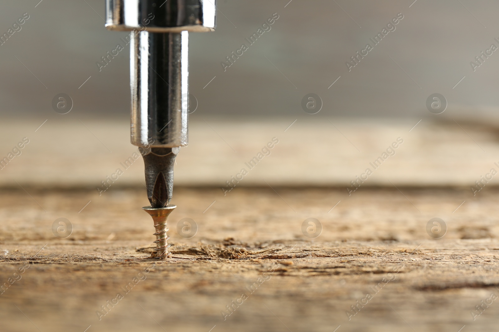 Photo of Screwing screw into wooden surface, closeup. Space for text