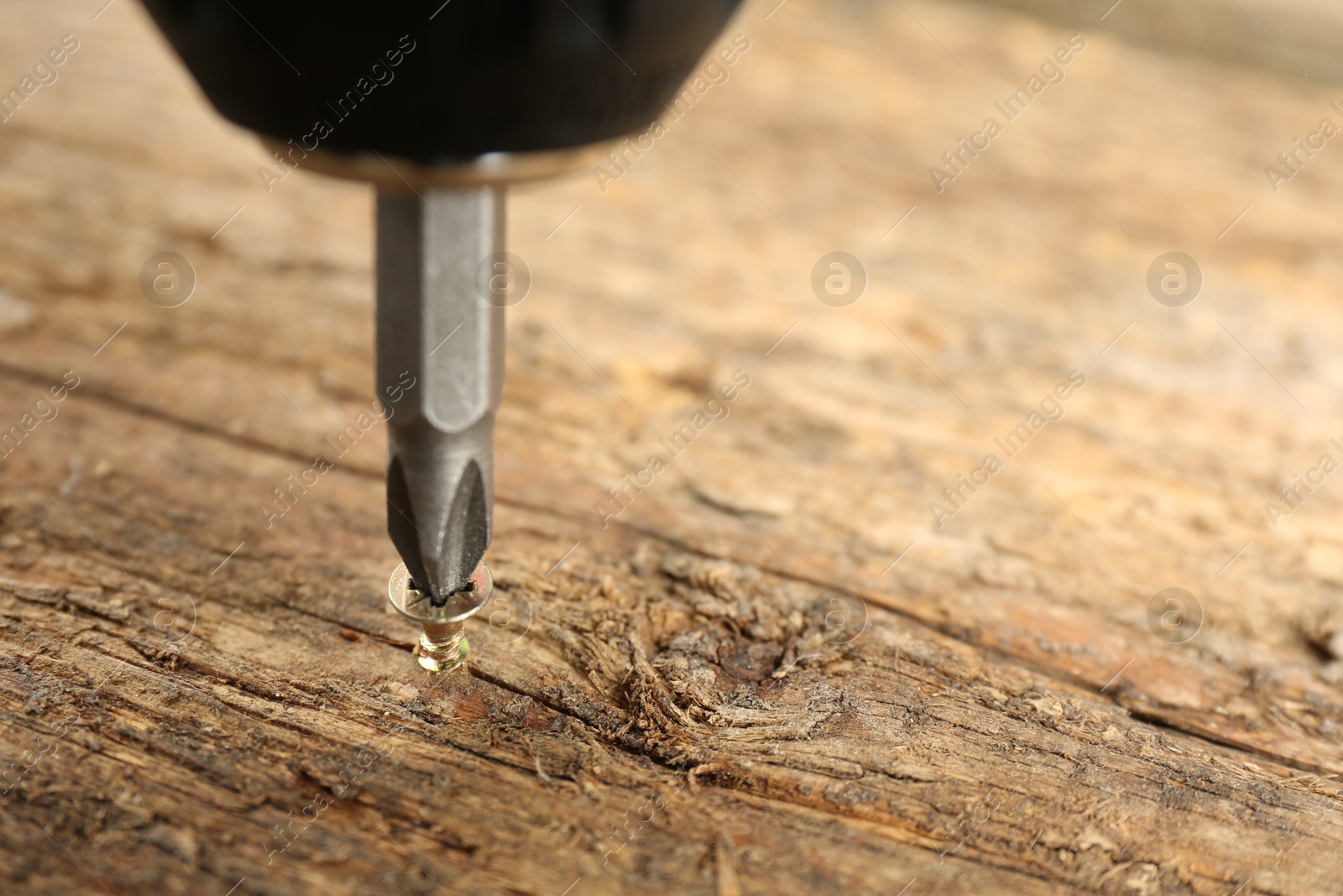 Photo of Screwing screw into wooden surface, closeup. Space for text