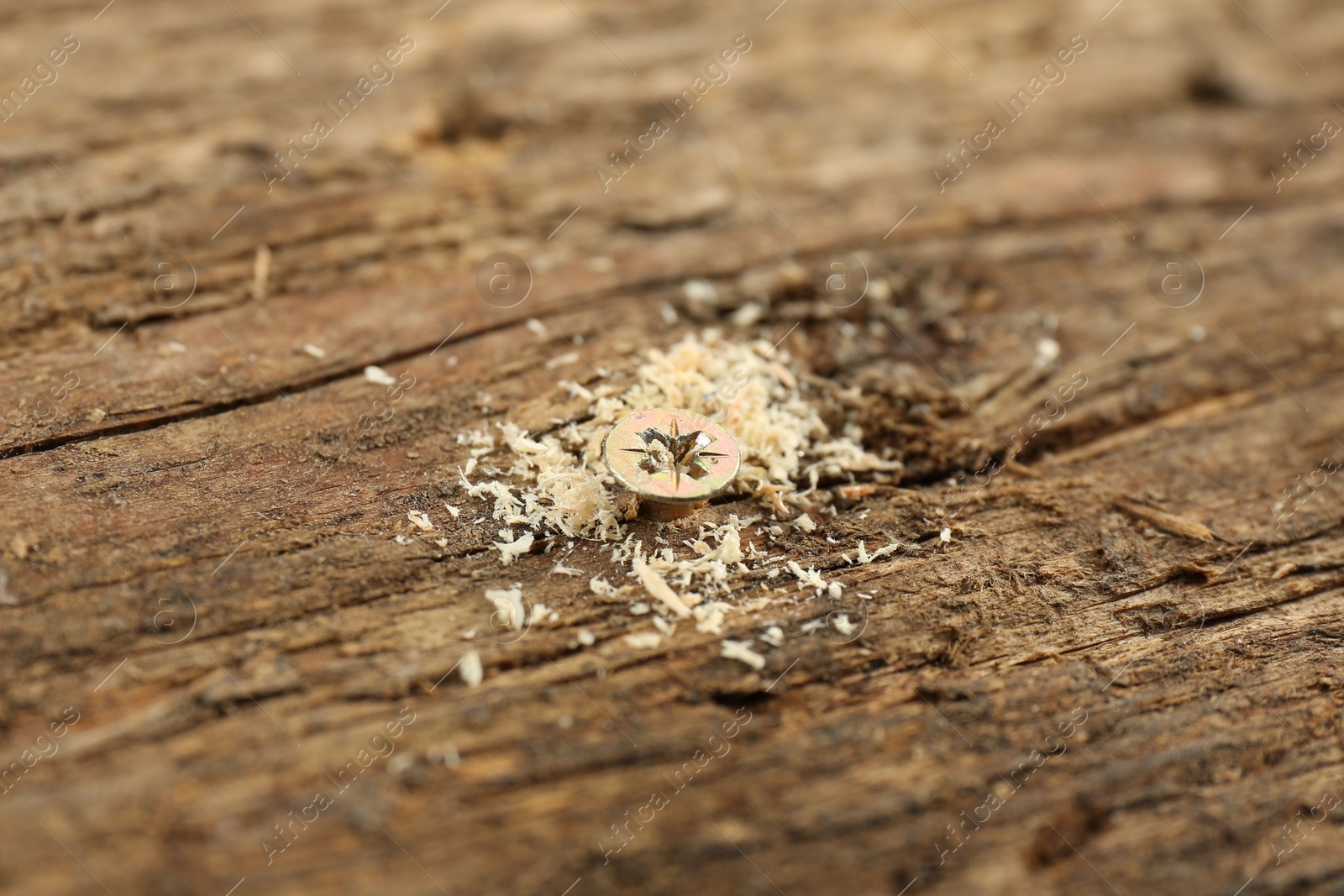 Photo of Screw in wooden plank and sawdust, closeup