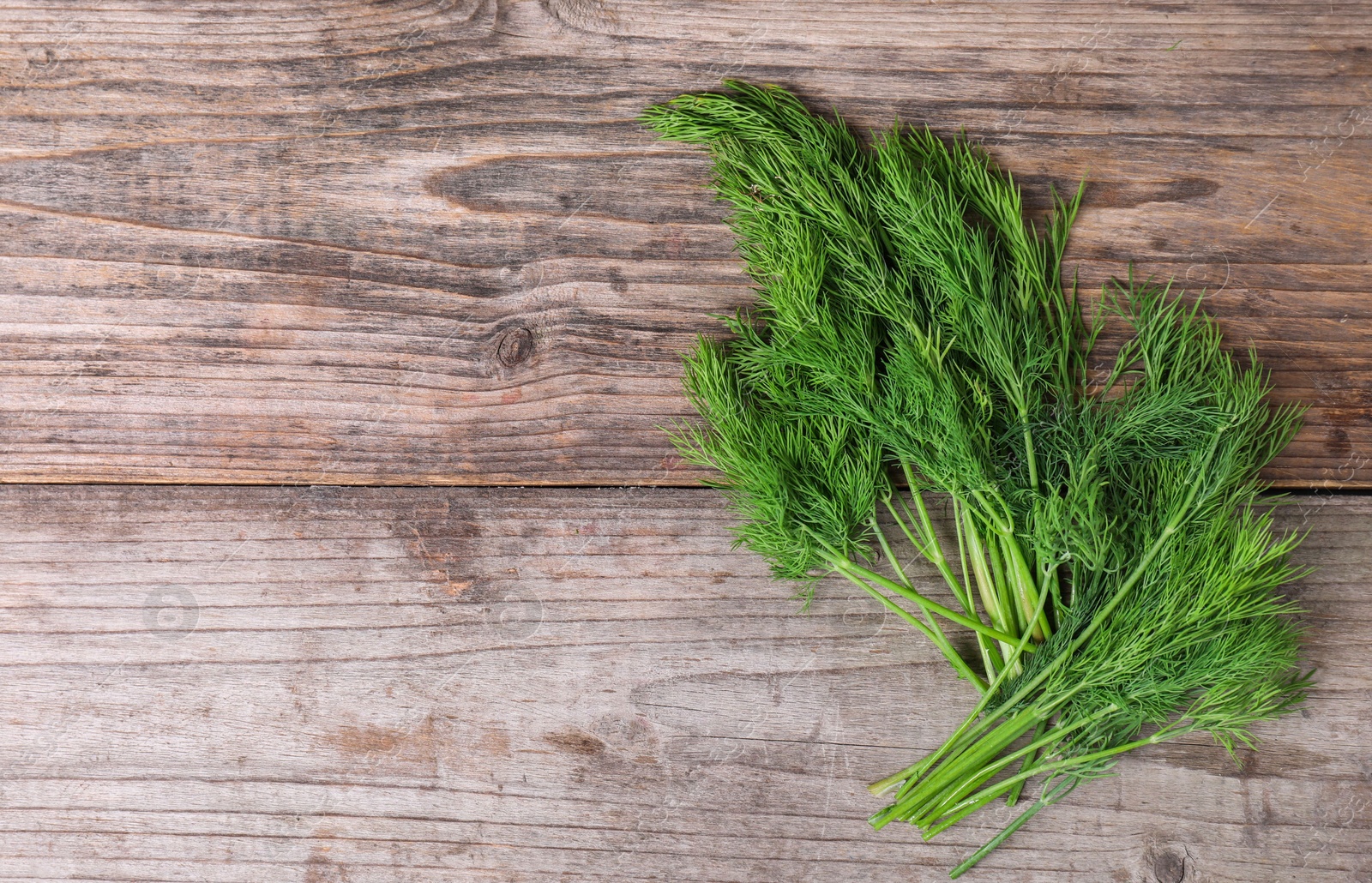 Photo of Sprigs of fresh green dill on wooden table, top view. Space for text