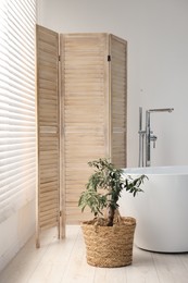 Photo of Wooden folding screen, bathtub and green houseplant in bathroom