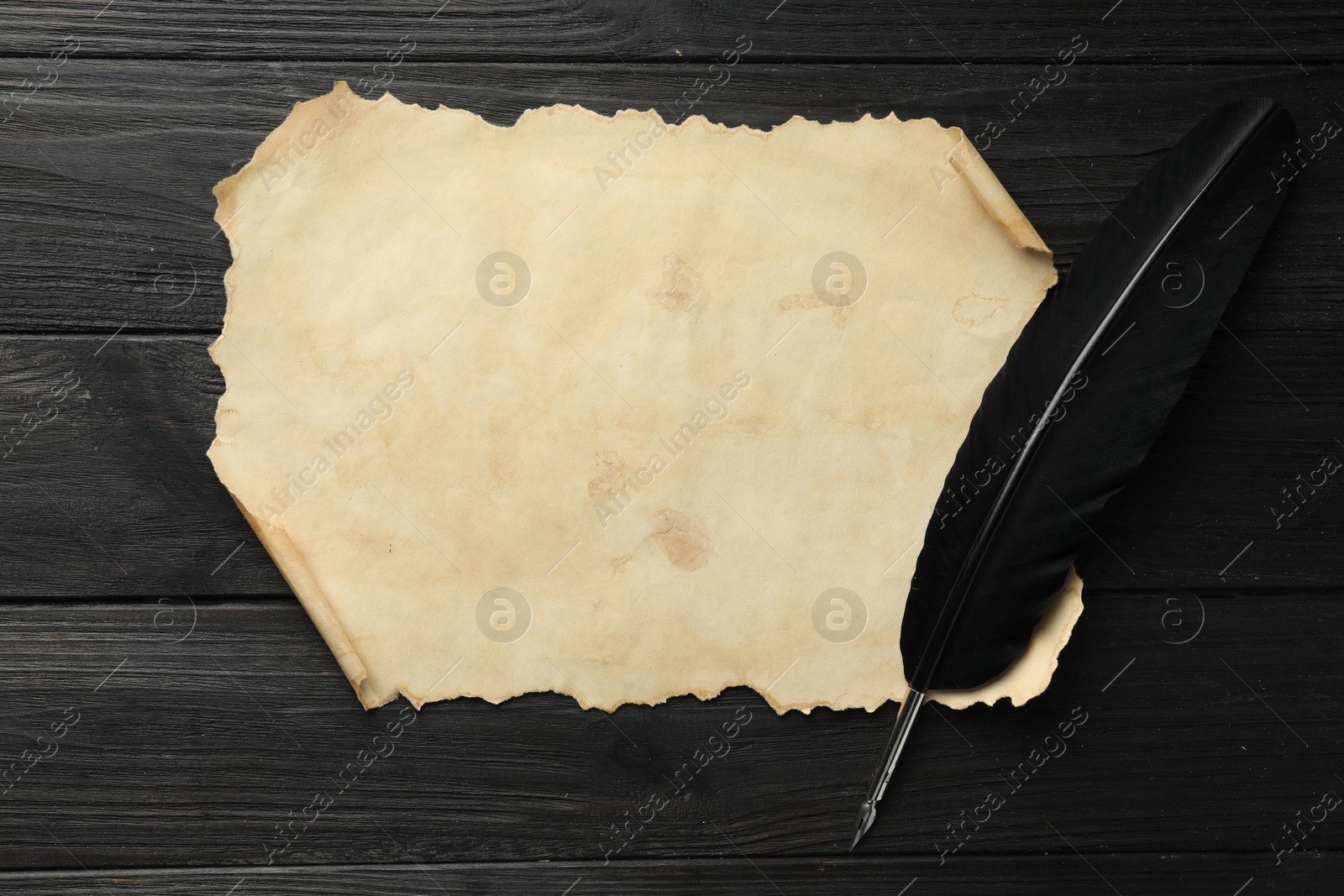 Photo of Sheet of old parchment paper and feather on black wooden table, top view