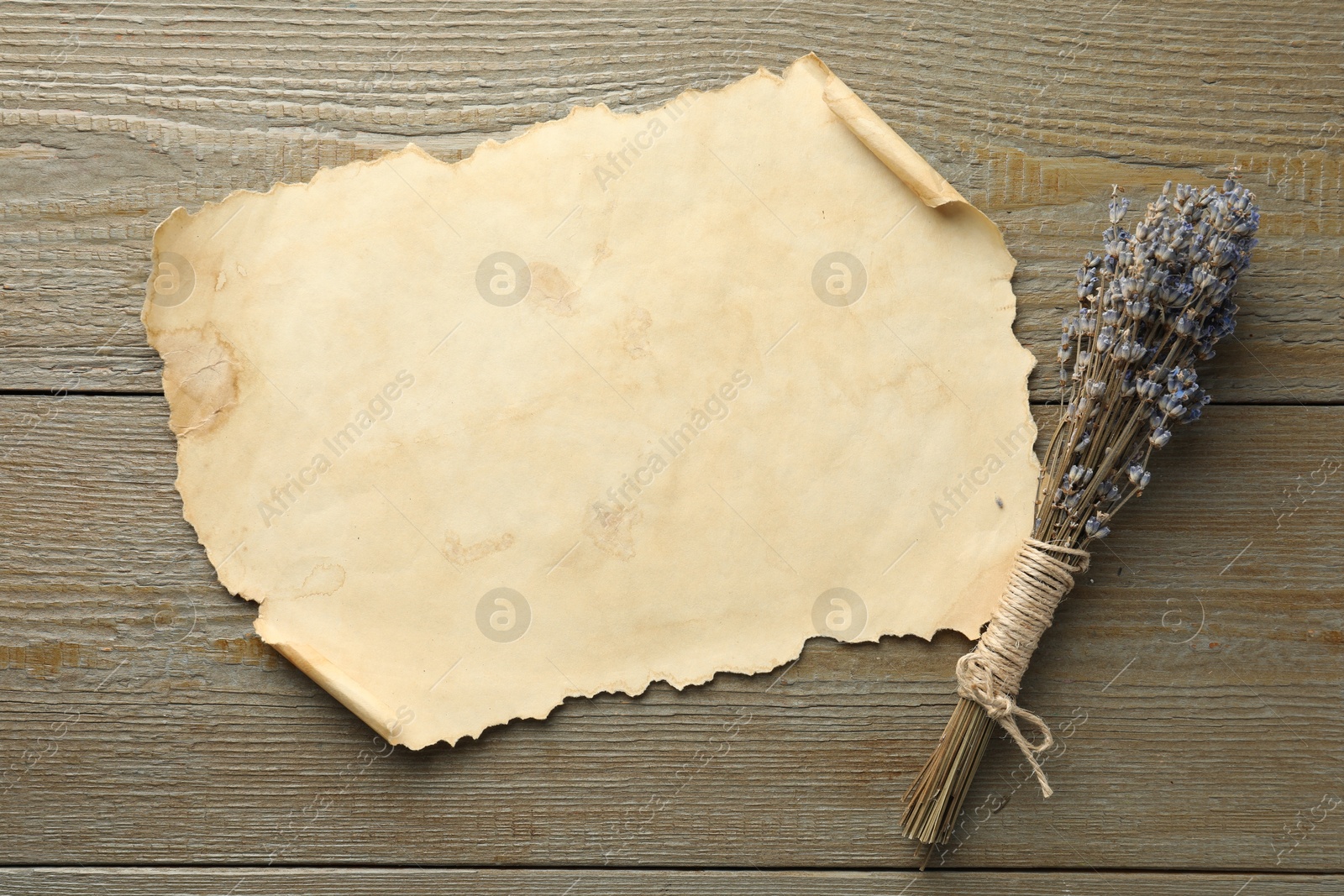 Photo of Sheet of old parchment paper and lavender flowers on wooden table, top view