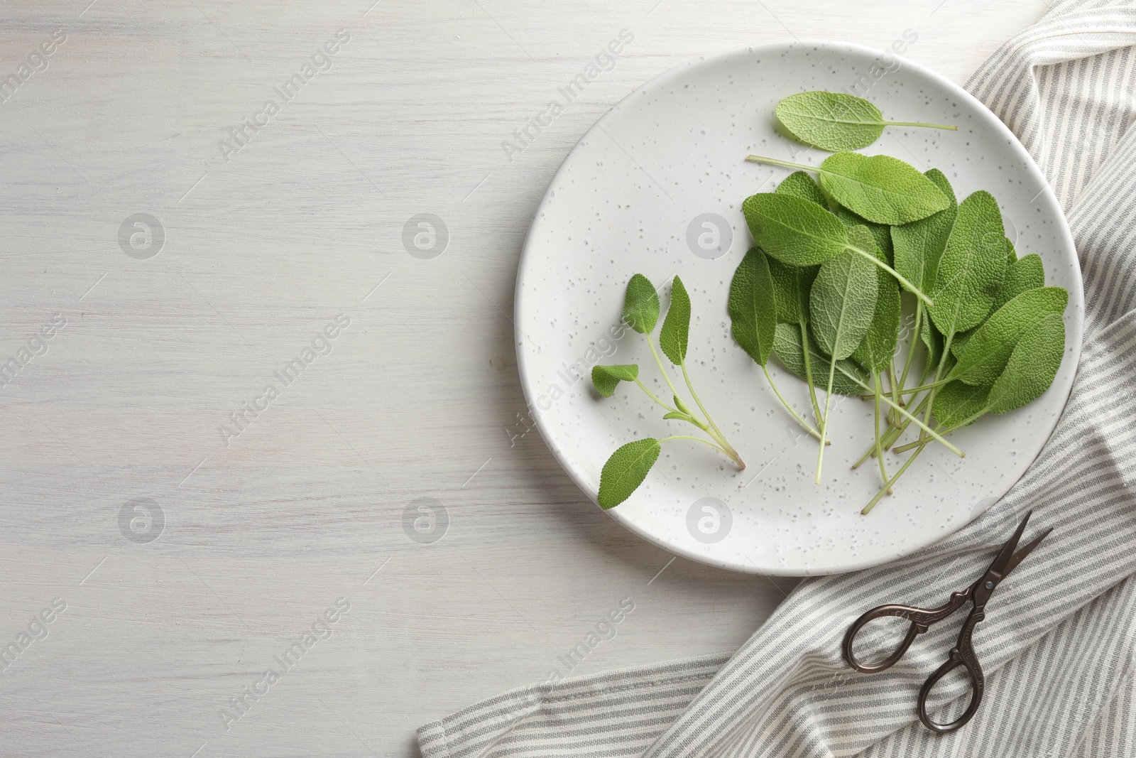 Photo of Fresh sage leaves and scissors on light wooden table, flat lay. Space for text