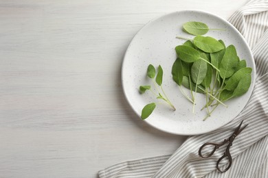 Photo of Fresh sage leaves and scissors on light wooden table, flat lay. Space for text