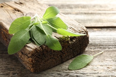 Photo of Fresh sage leaves on wooden table, closeup