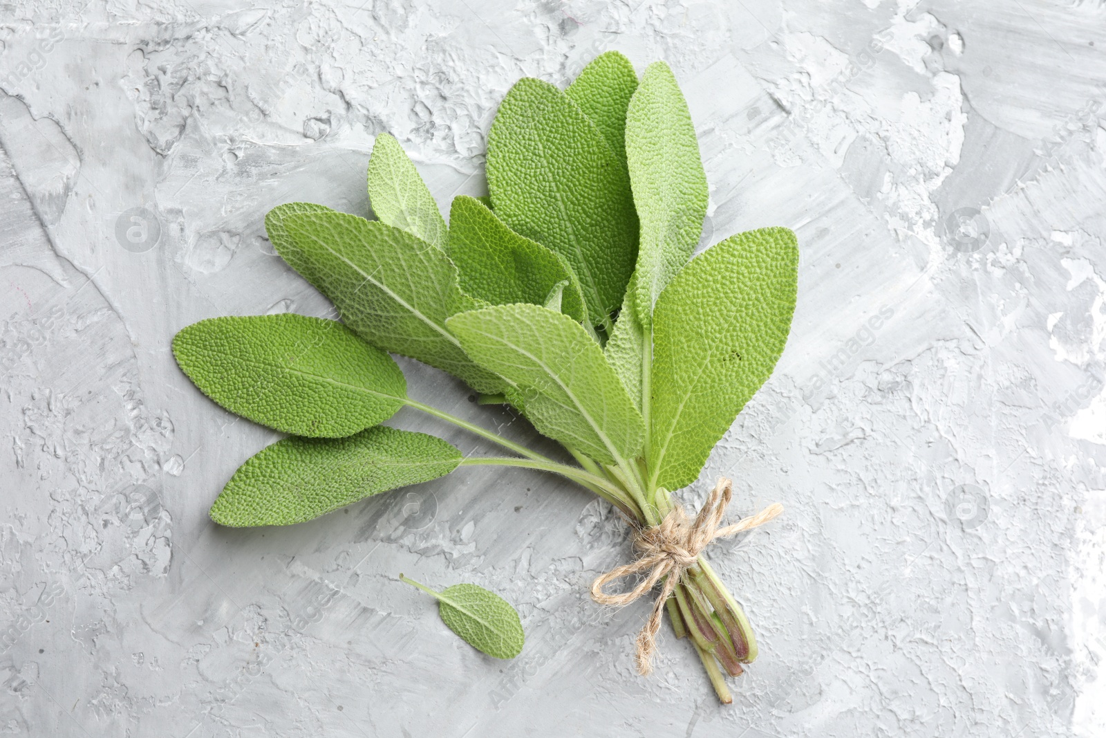 Photo of Bunch of fresh sage leaves on gray textured table, top view