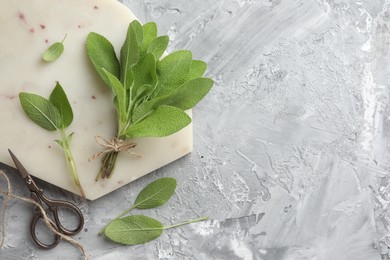 Photo of Bunch of fresh sage leaves and scissors on gray textured table, flat lay. Space for text