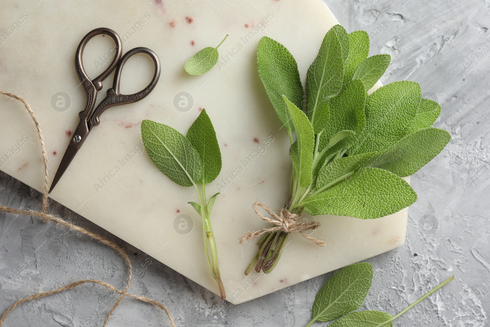 Photo of Bunch of fresh sage leaves, scissors and thread on gray textured table, flat lay