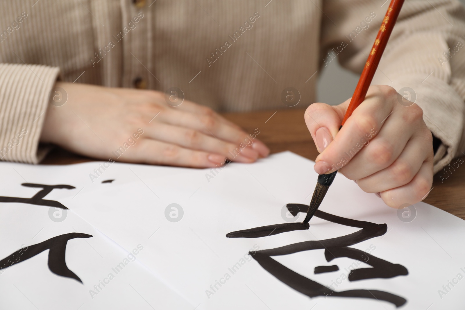 Photo of Calligraphy. Woman with brush writing word Bird and Entrance in Chinese on paper at table, closeup