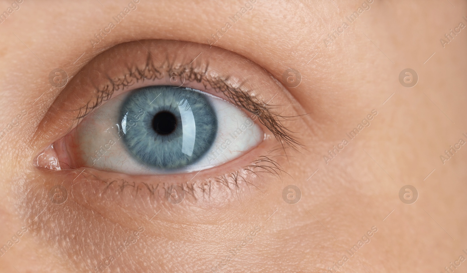 Photo of Woman with beautiful blue eyes, macro photo