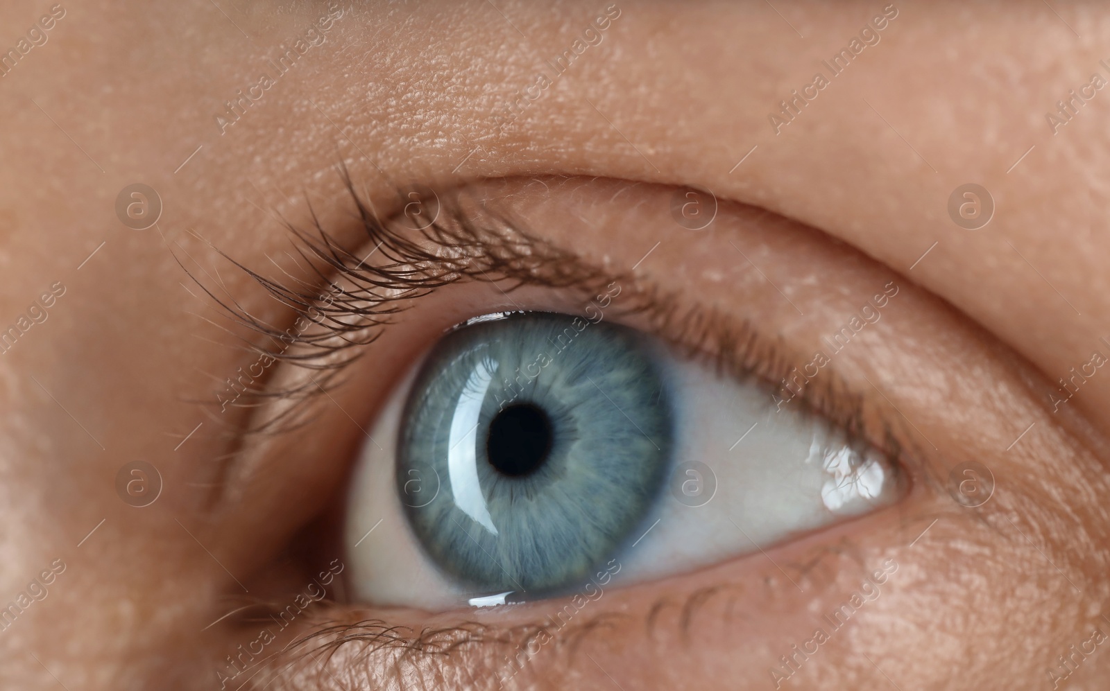 Photo of Woman with beautiful blue eyes, macro photo