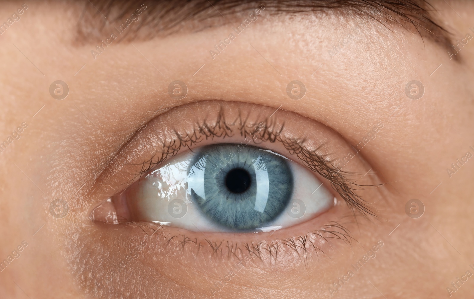 Photo of Woman with beautiful blue eyes, macro photo