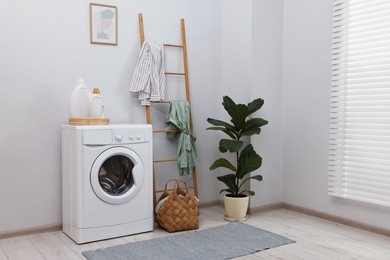 Photo of Washing machine, detergents, houseplant and ladder in laundry room