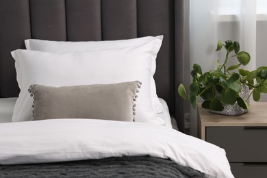 Photo of Many soft pillows on bed and bedside table with houseplant at home, closeup