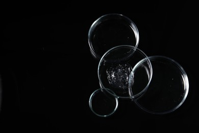 Photo of Petri dishes with sample on black mirror surface, top view. Space for text