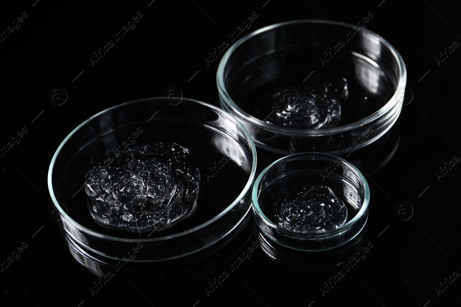 Photo of Petri dishes with samples on black mirror surface