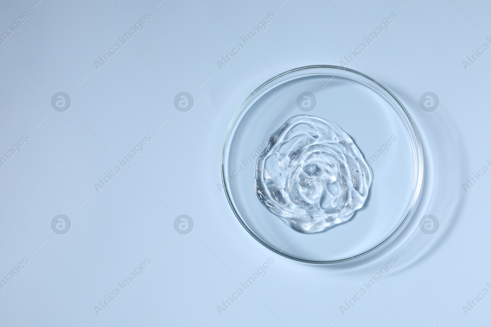 Photo of Petri dish with sample on light blue background, top view. Space for text