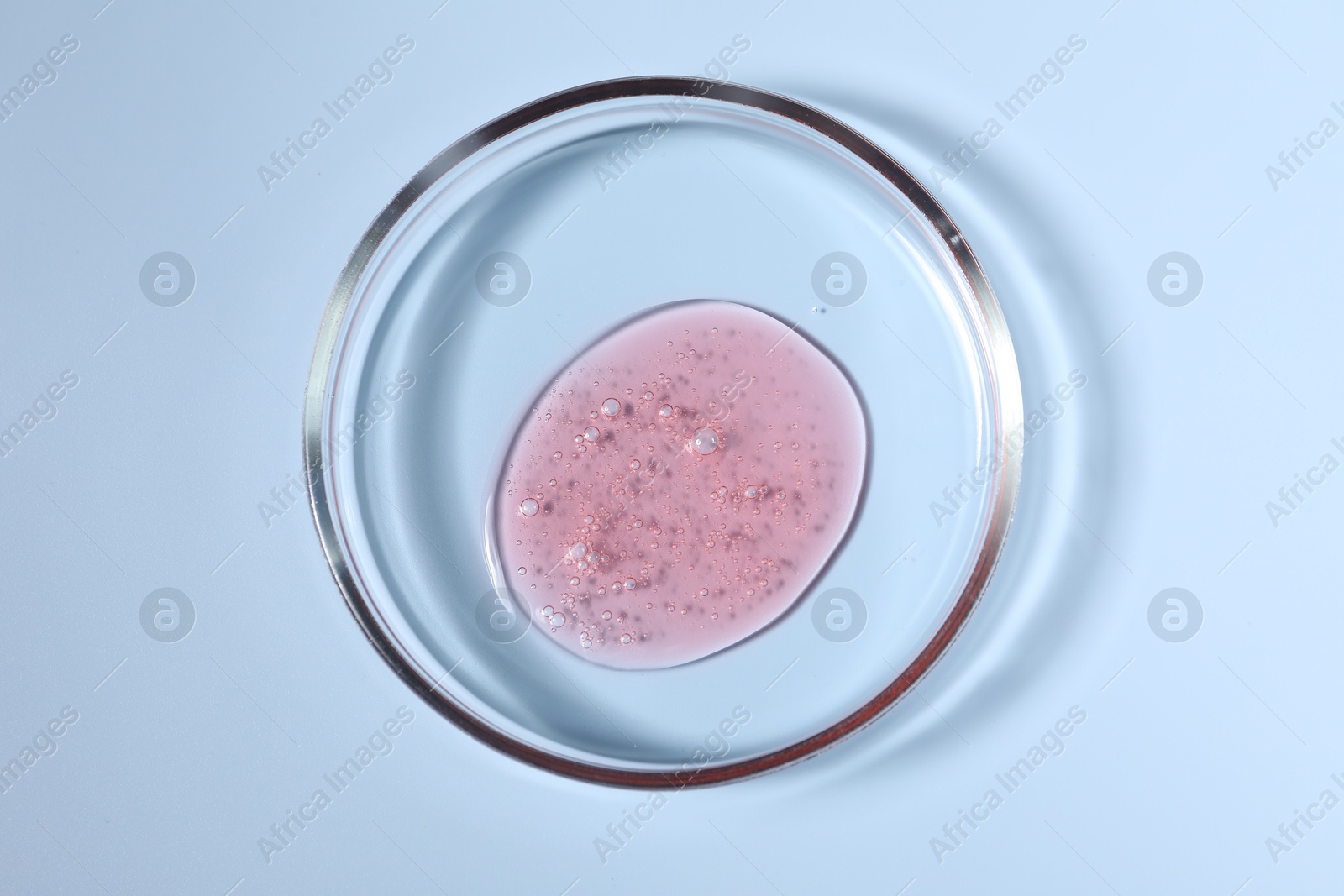 Photo of Petri dish with sample on light blue background, top view