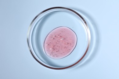 Petri dish with sample on light blue background, top view