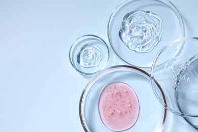 Petri dishes with samples on light blue background, top view. Space for text