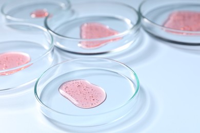 Photo of Petri dishes with samples on light blue background, closeup