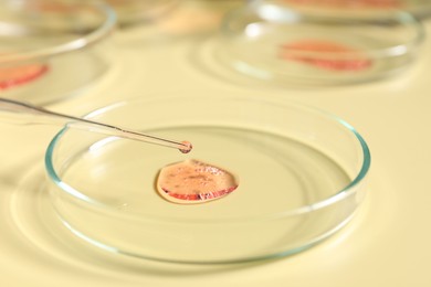 Photo of Dripping sample from pipette into petri dish on beige background, closeup