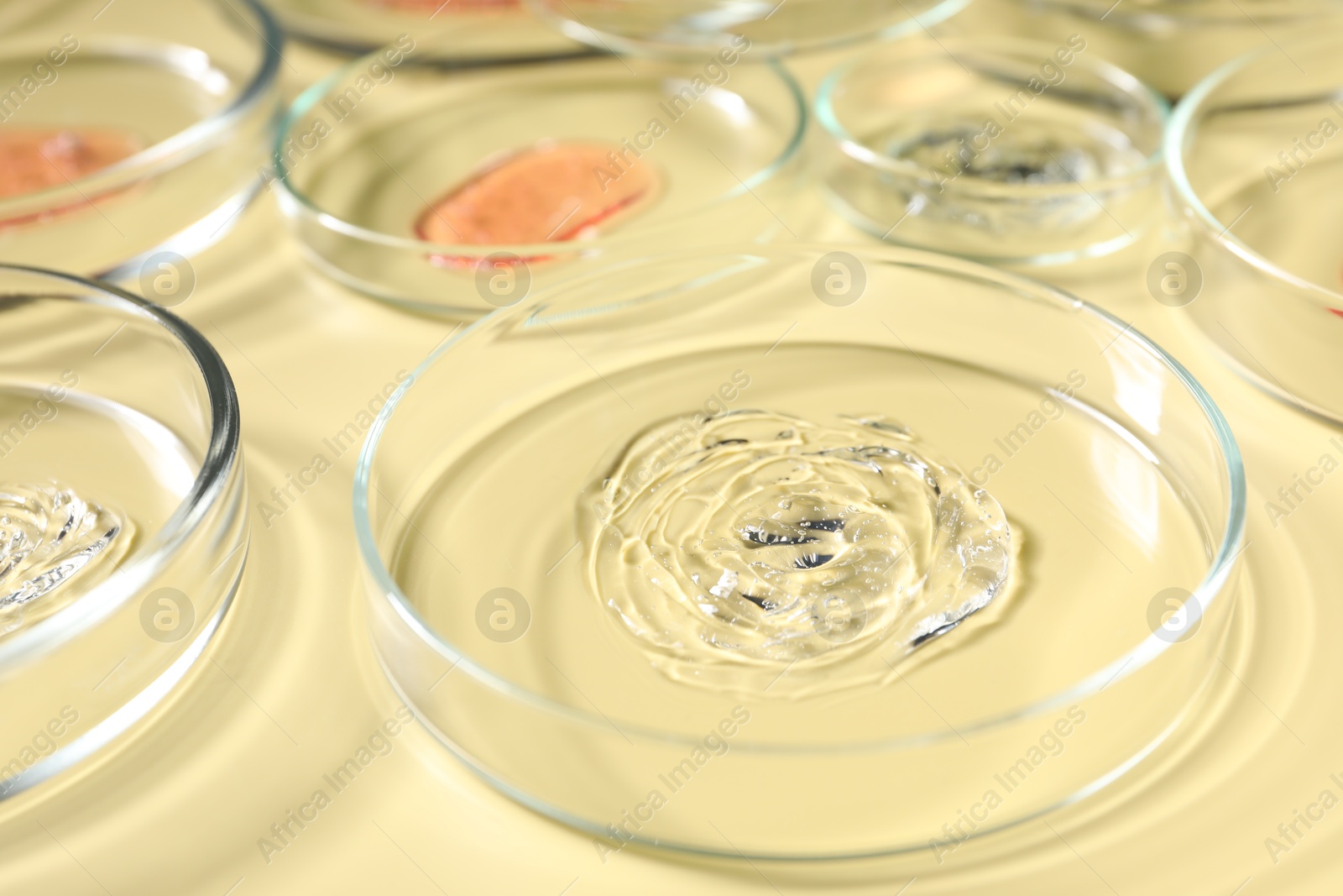 Photo of Petri dishes with samples on beige background, closeup