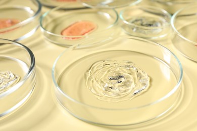 Petri dishes with samples on beige background, closeup