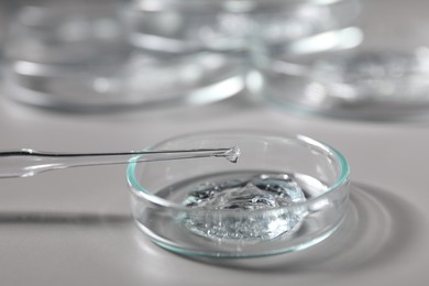 Photo of Dripping sample from pipette into petri dish on grey background, closeup