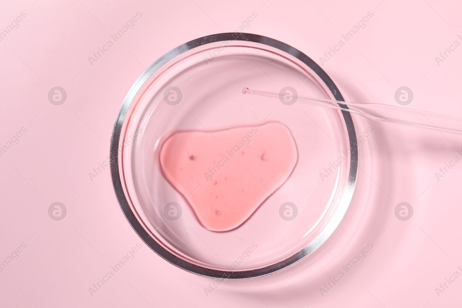 Photo of Petri dish with sample and pipette on pink background, top view