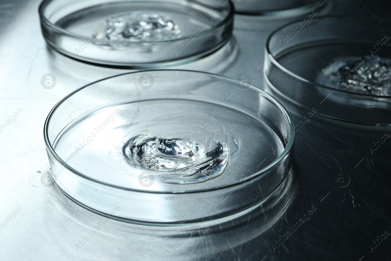 Photo of Petri dishes with samples on black table, closeup