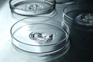 Petri dishes with samples on black table, closeup