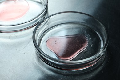 Photo of Petri dishes with samples on dark table, closeup