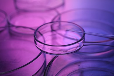 Dripping sample from pipette into petri dish neon lights at table, closeup