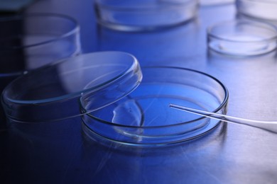 Petri dishes with samples and pipette on table. Color toned