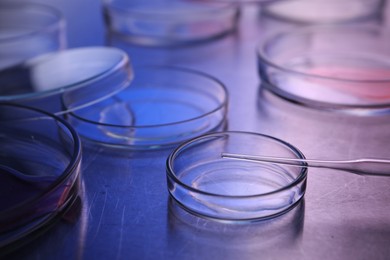 Photo of Petri dishes with samples and pipette on table. Color toned