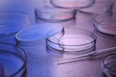 Photo of Petri dishes with samples and pipette on table. Color toned