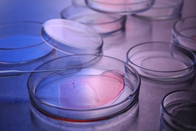 Petri dishes with samples and pipette on table, closeup. Color toned