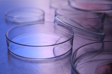 Petri dishes with samples on table, closeup. Color toned