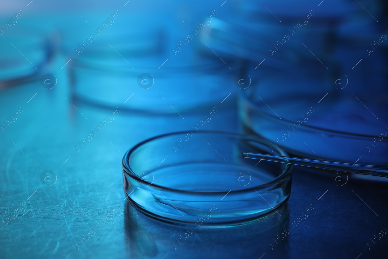 Photo of Dripping sample from pipette into petri dish at table, closeup. Color toned