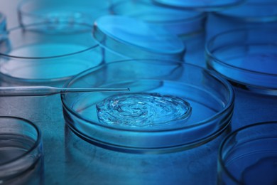 Photo of Dripping sample from pipette into petri dish at table, closeup. Color toned