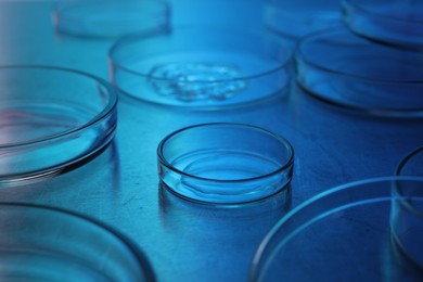 Photo of Petri dishes with samples on table. Color toned