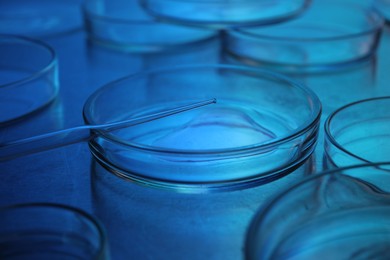 Photo of Dripping sample from pipette into petri dish at table, closeup. Color toned