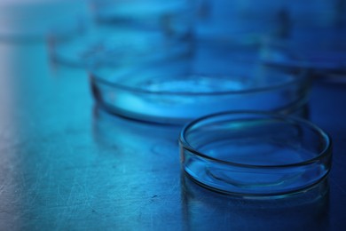 Petri dishes with samples on table, closeup. Color toned