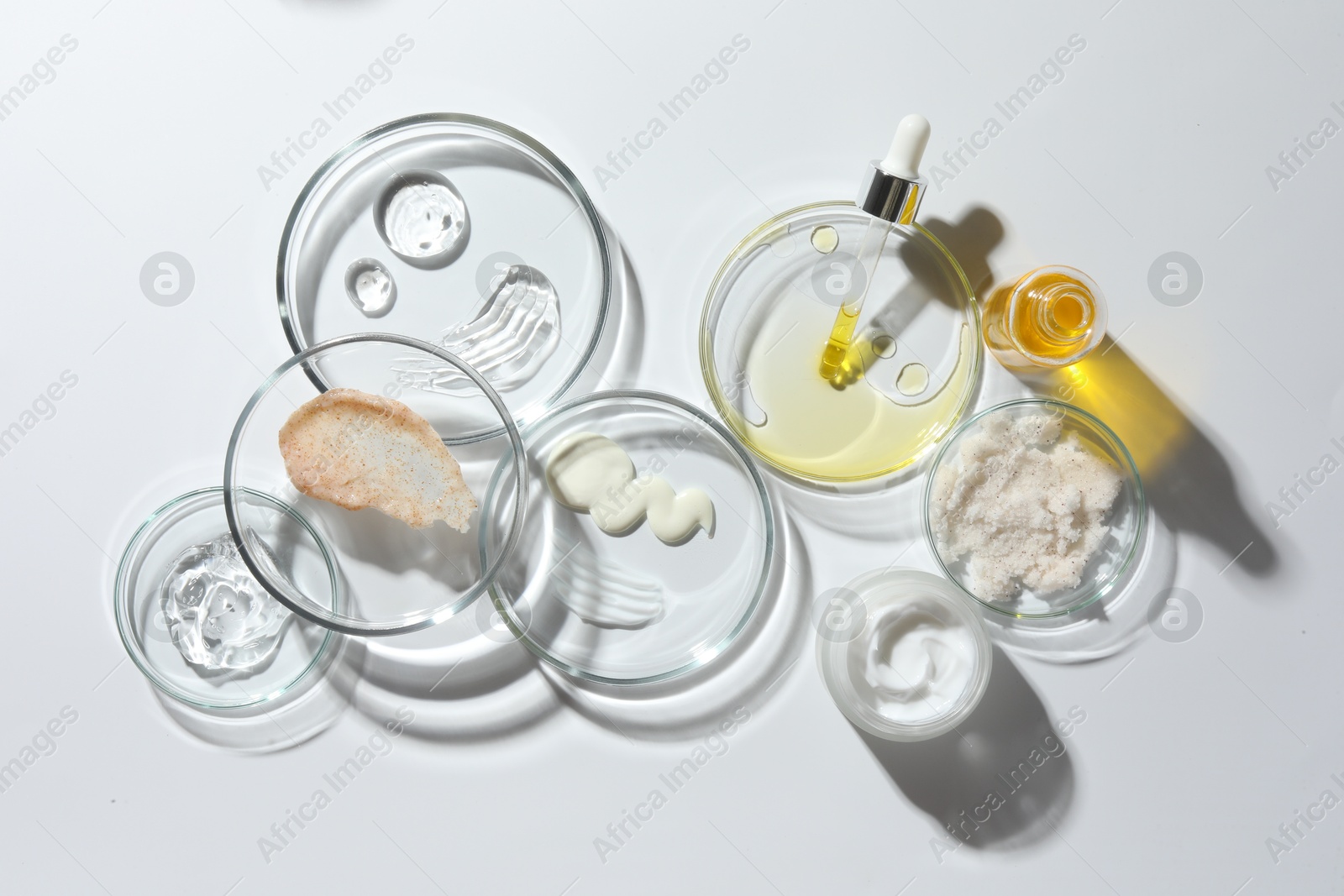 Photo of Petri dishes with different cosmetic products on white background, flat lay