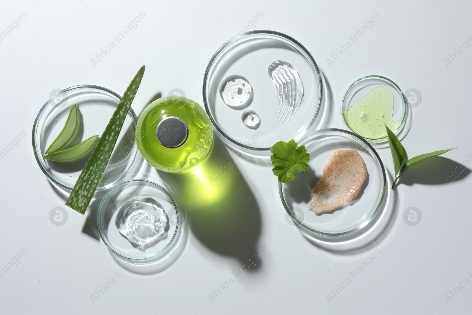 Photo of Petri dishes with different cosmetic products and aloe vera leaves on white background, flat lay