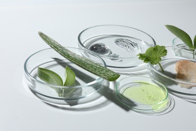 Petri dishes with different cosmetic products and aloe vera leaves on white background, closeup