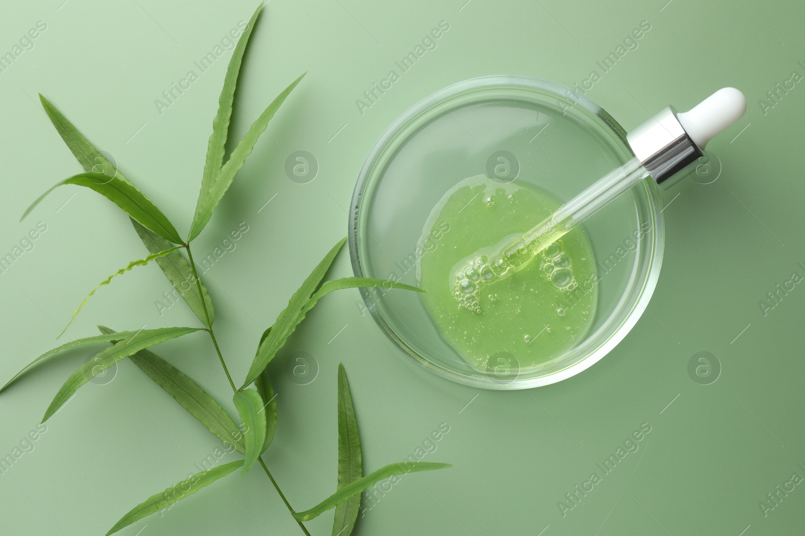 Photo of Petri dish with cosmetic product, pipette and leaves on green background, flat lay